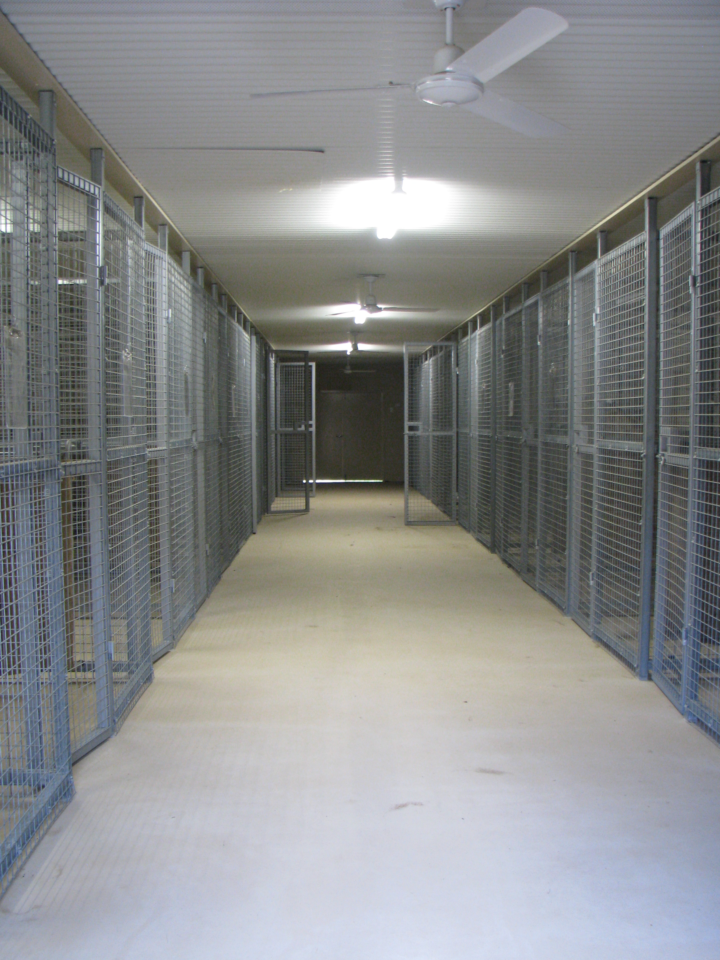 Our kennels are new and triple insulated cool in summer warm in winter